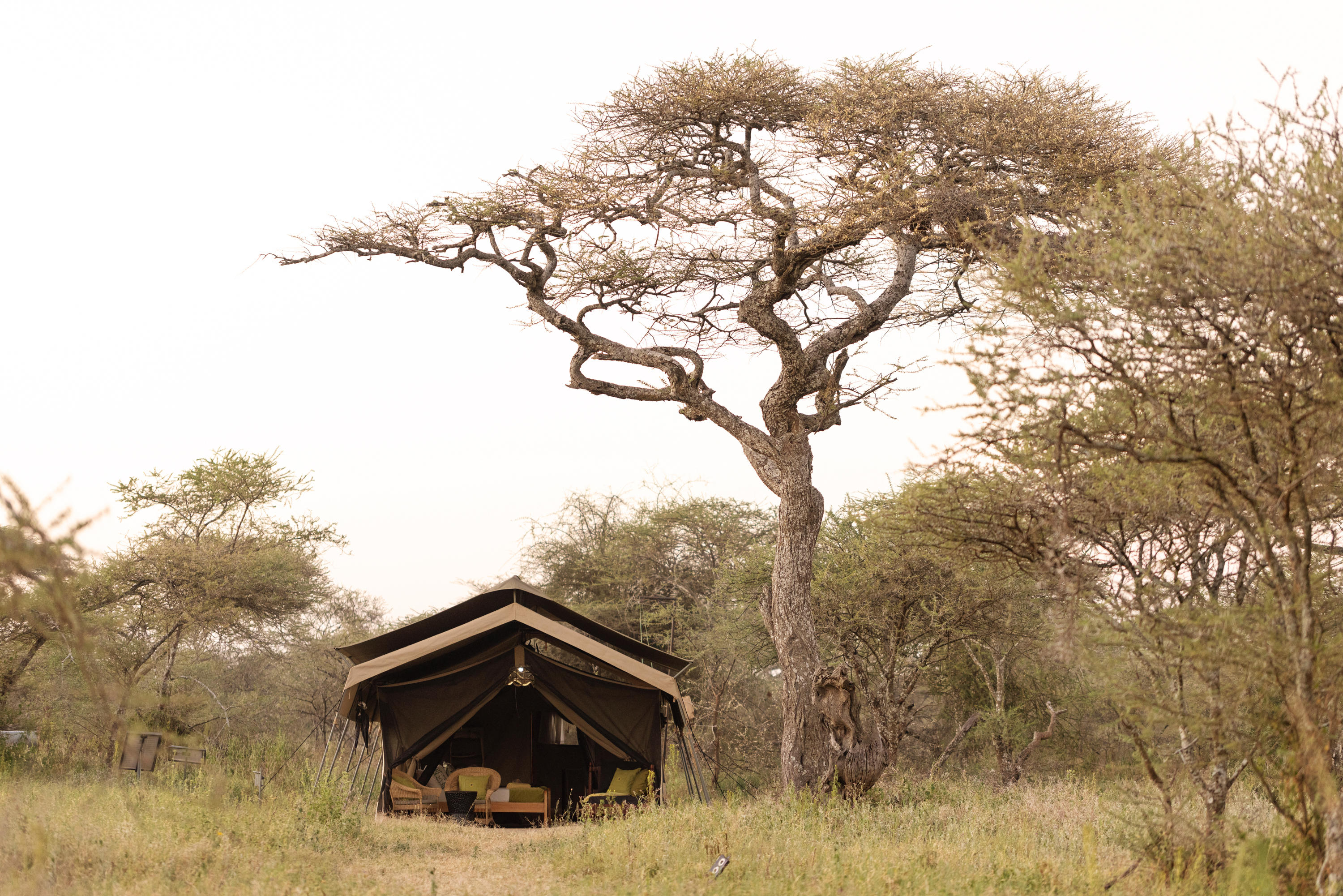 Guest tent in the southern Serengeti
