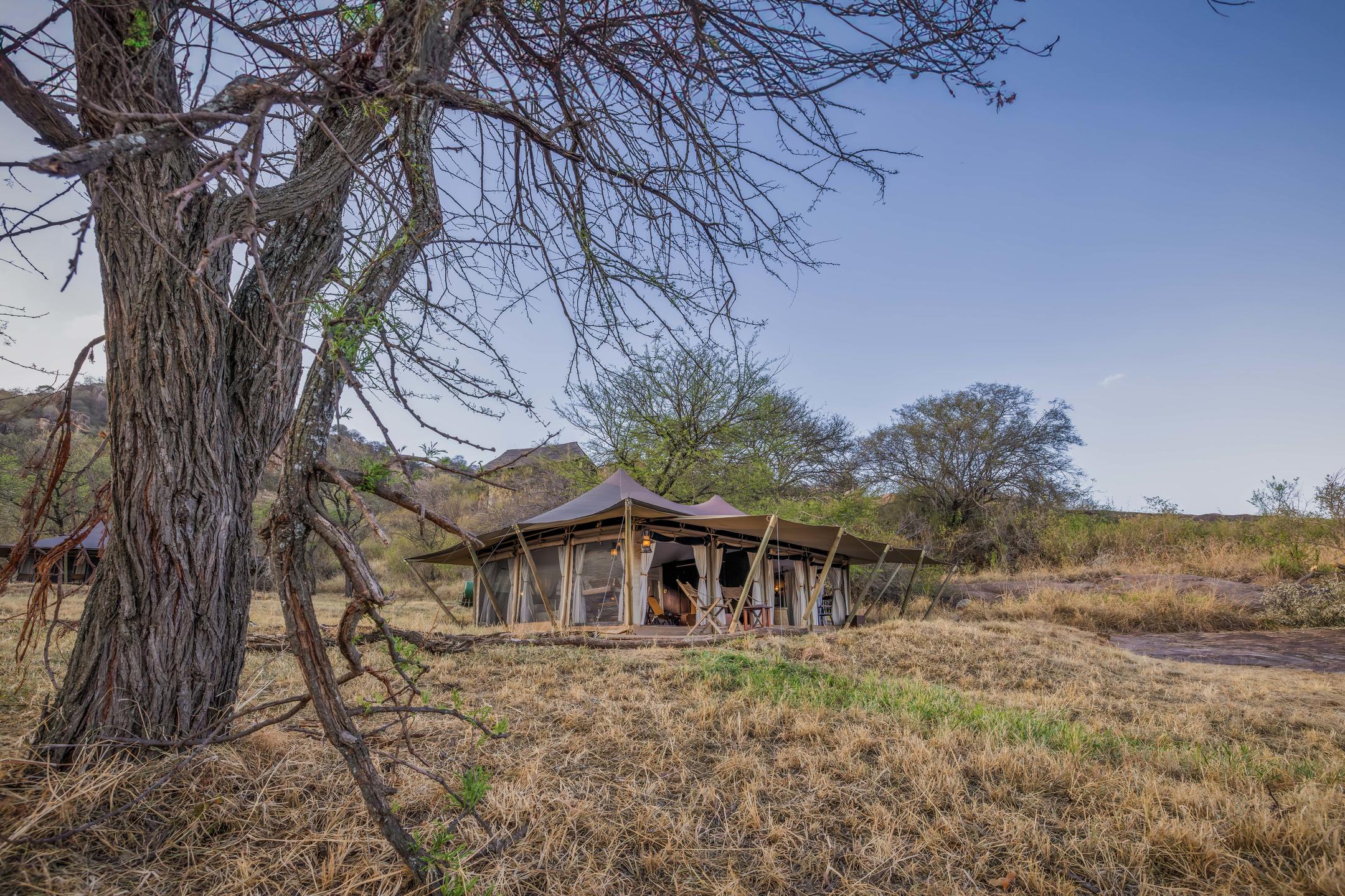 Tented safari stay in Uganda's green wilderness