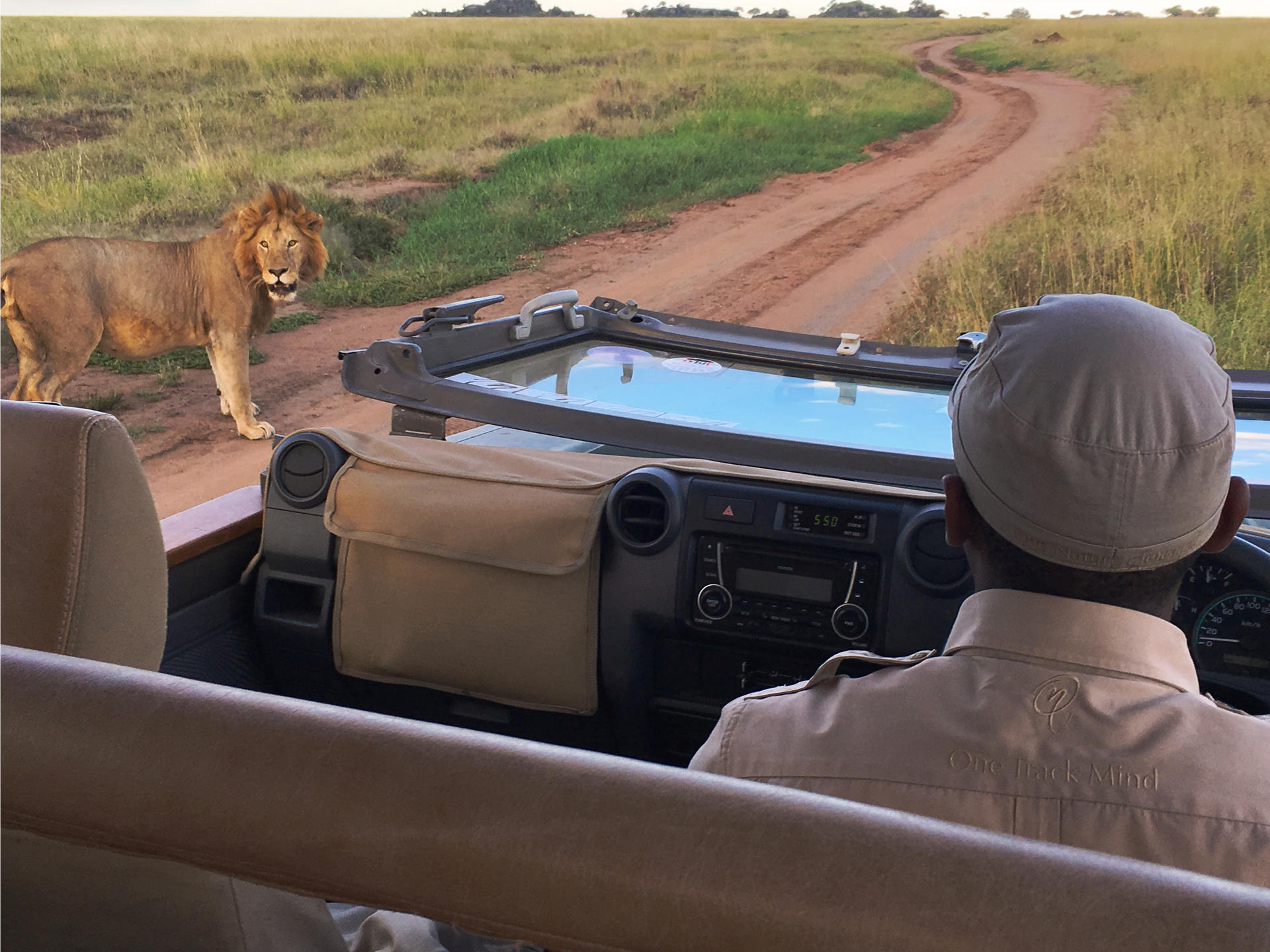 Safari game drive in Africa