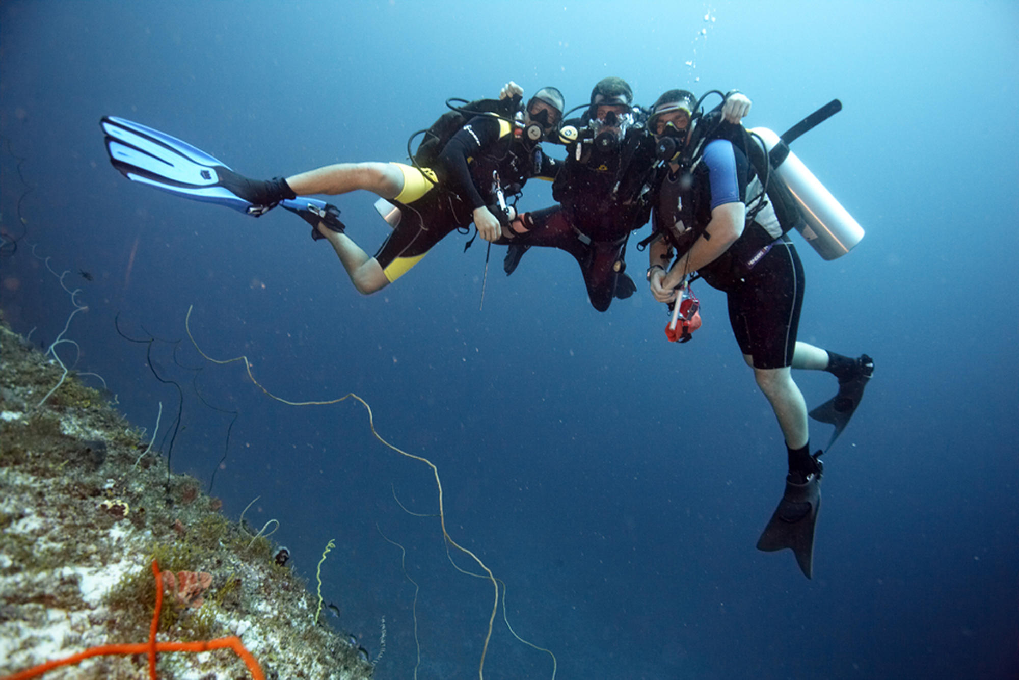 Diver exploring a clear-water reef in Zanzibar