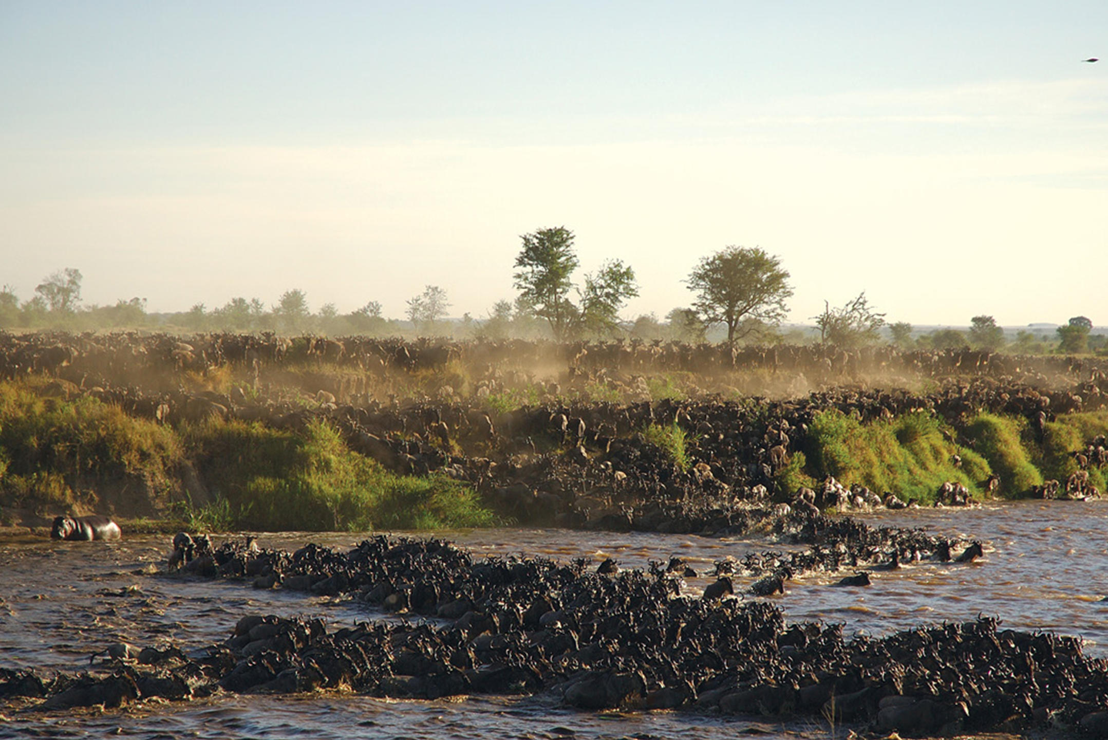 8 Days River Crossing Safari