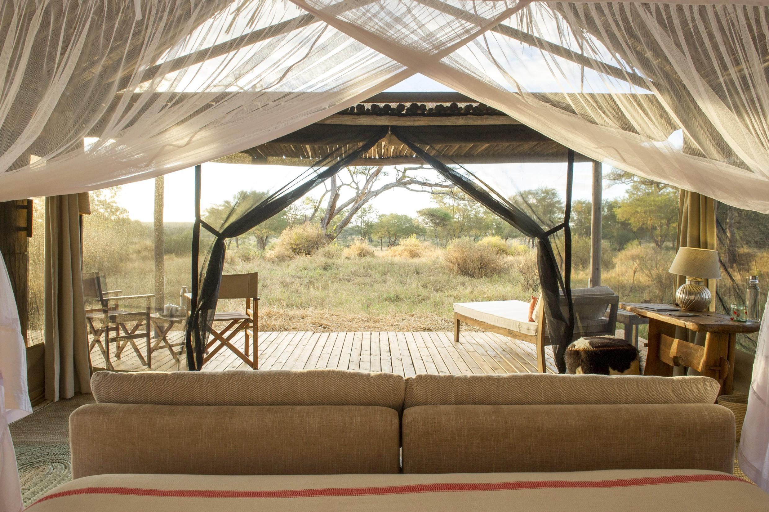 Wide Tarangire view for a private day safari