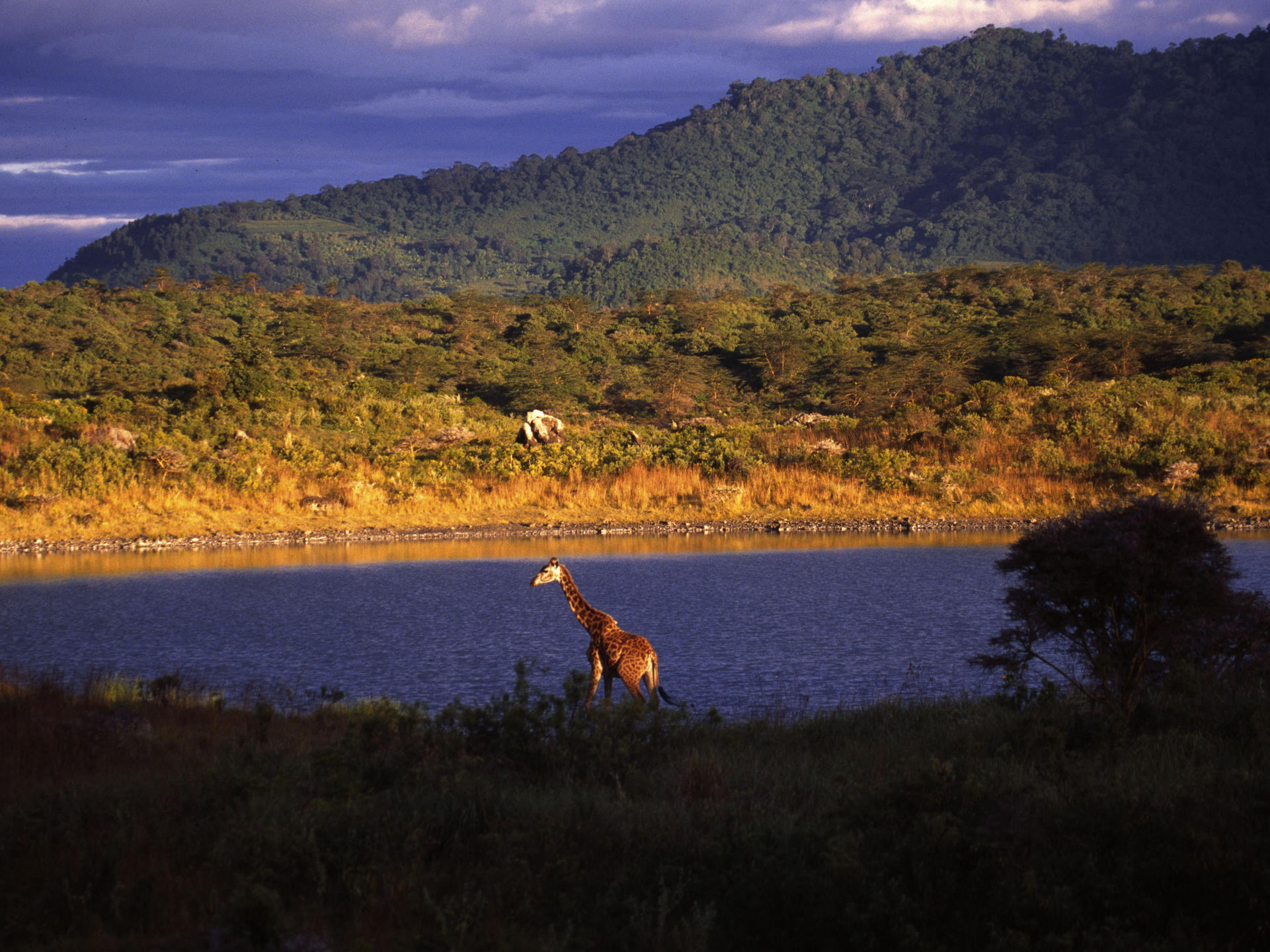 Landscape in Arusha National Park, Tanzania