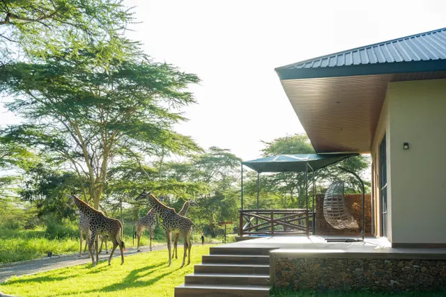 Aya Sophia Wildlife Villa