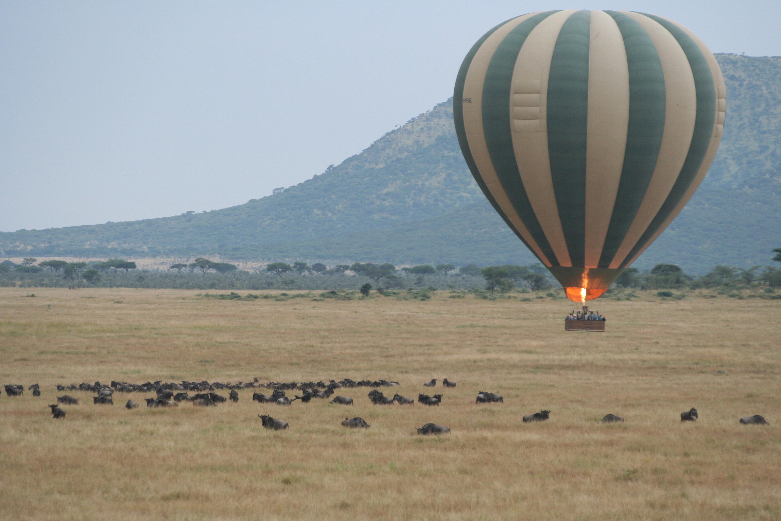 Balloon flame rising over the Serengeti at sunrise