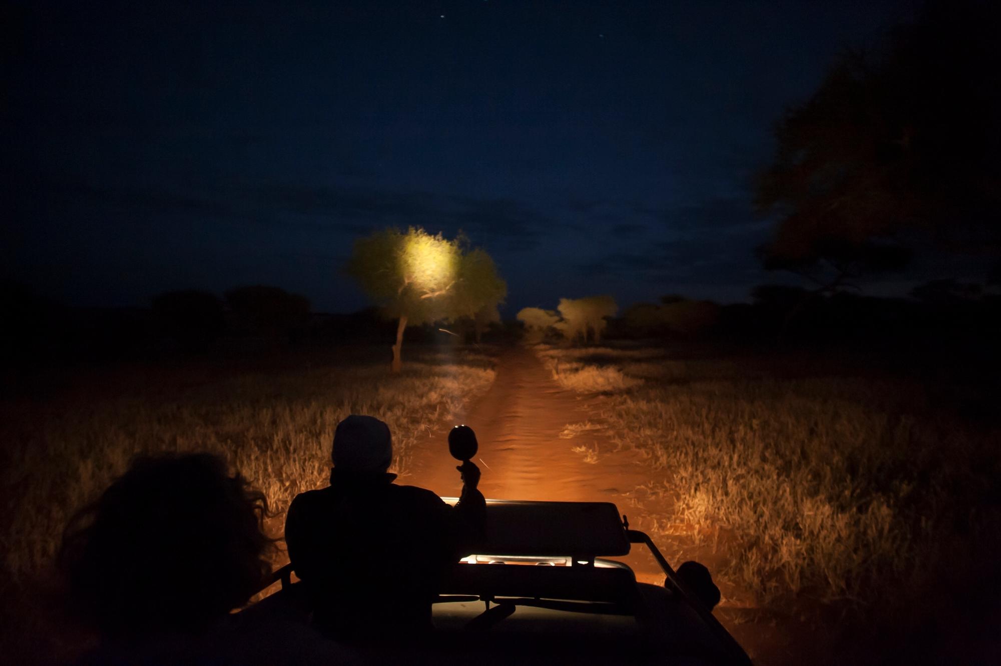 Tarangire safari camp among baobab woodland