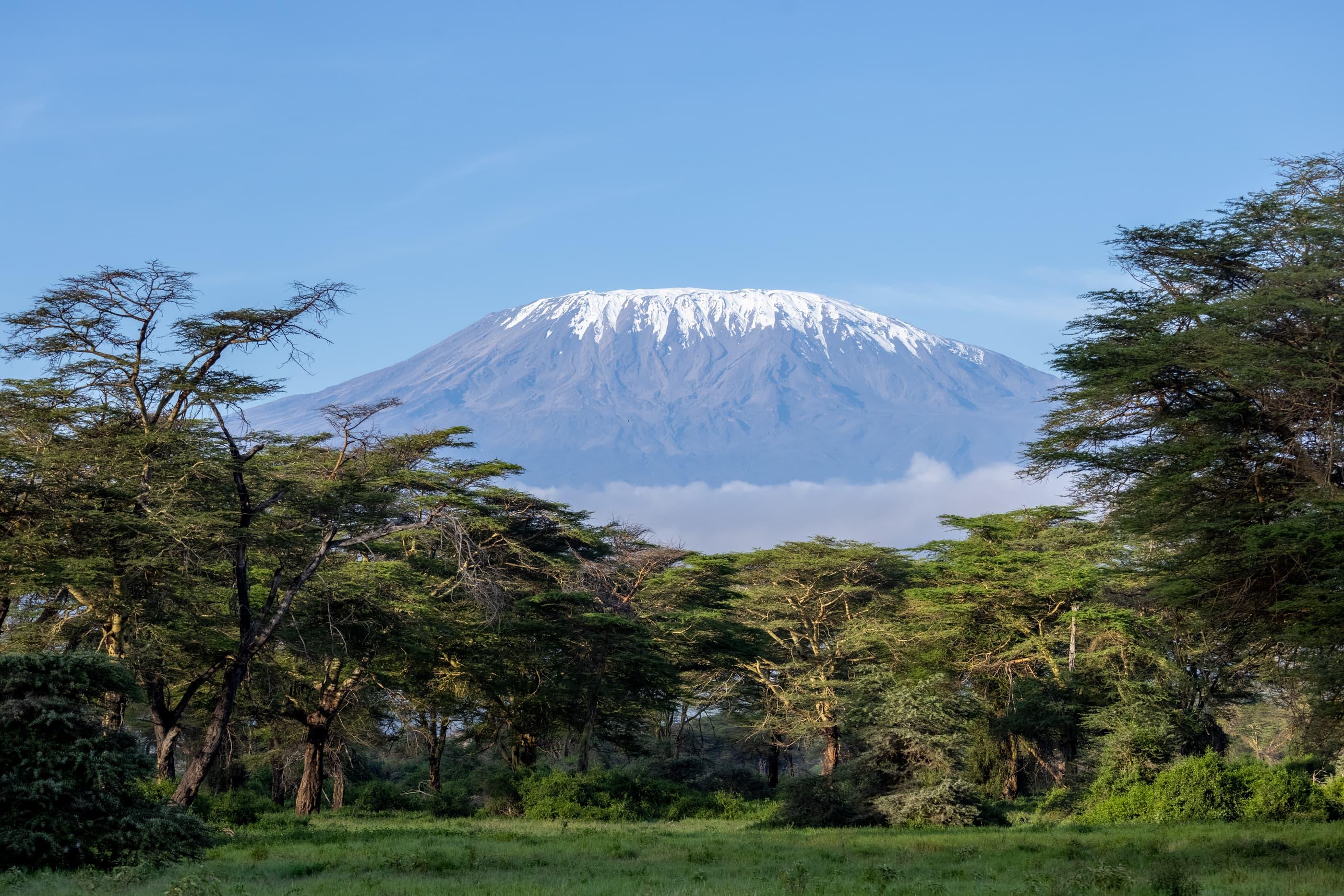 Scenic view of Mount Kilimanjaro