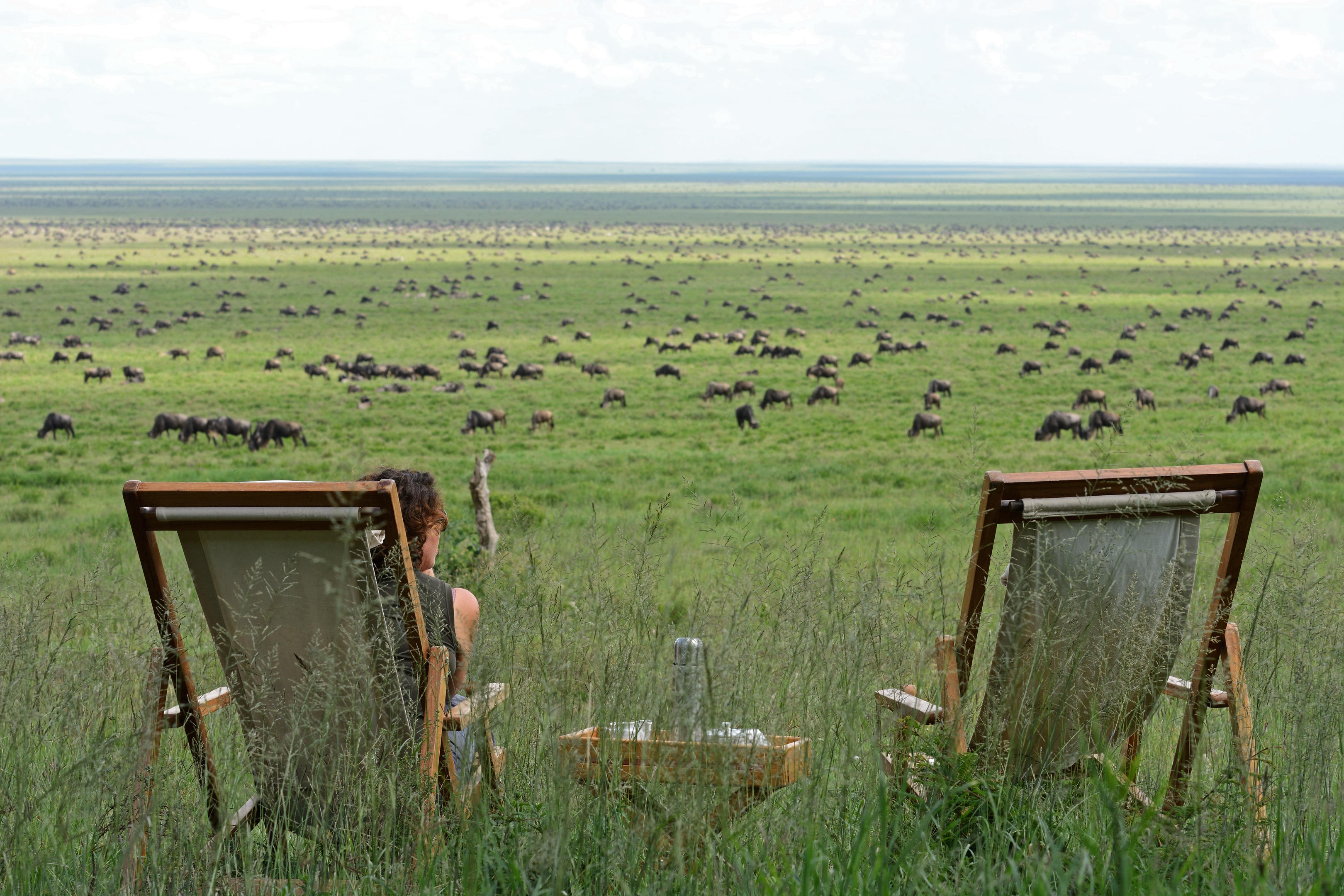 Guests overlooking the Great Migration on the southern Serengeti plains