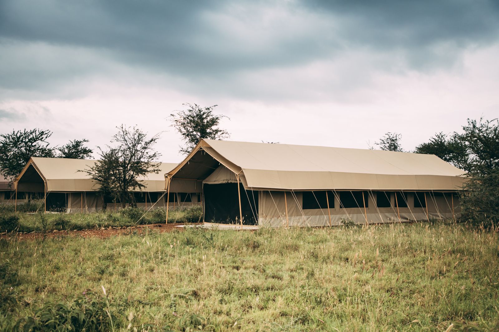 Tented camp in the Serengeti