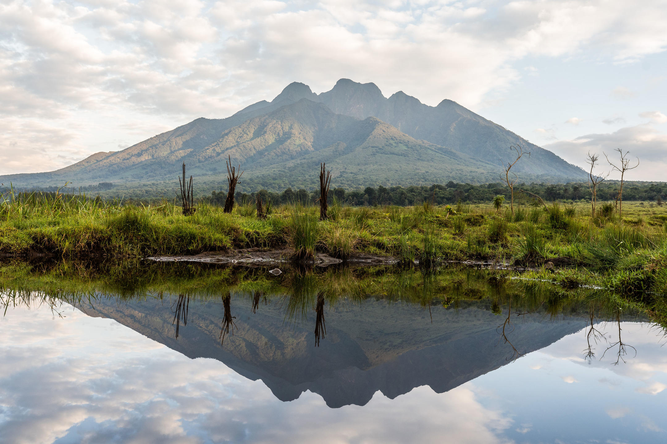 Volcanoes National Park landscape in Rwanda