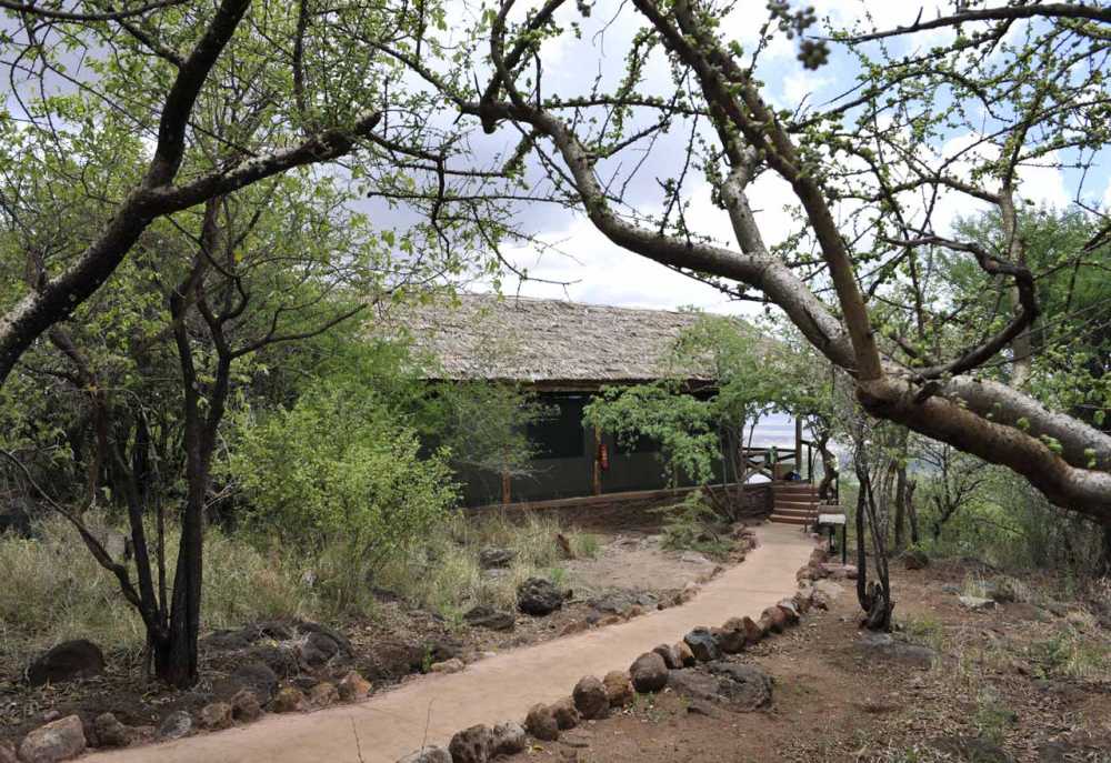 Kirurumu Manyara Lodge