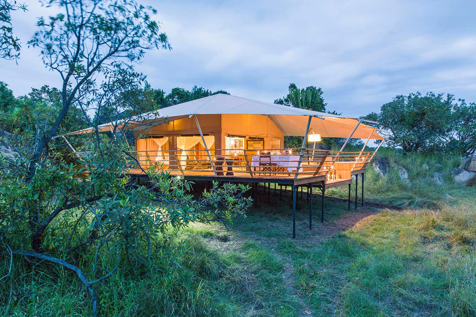 Serengeti Bushtops
