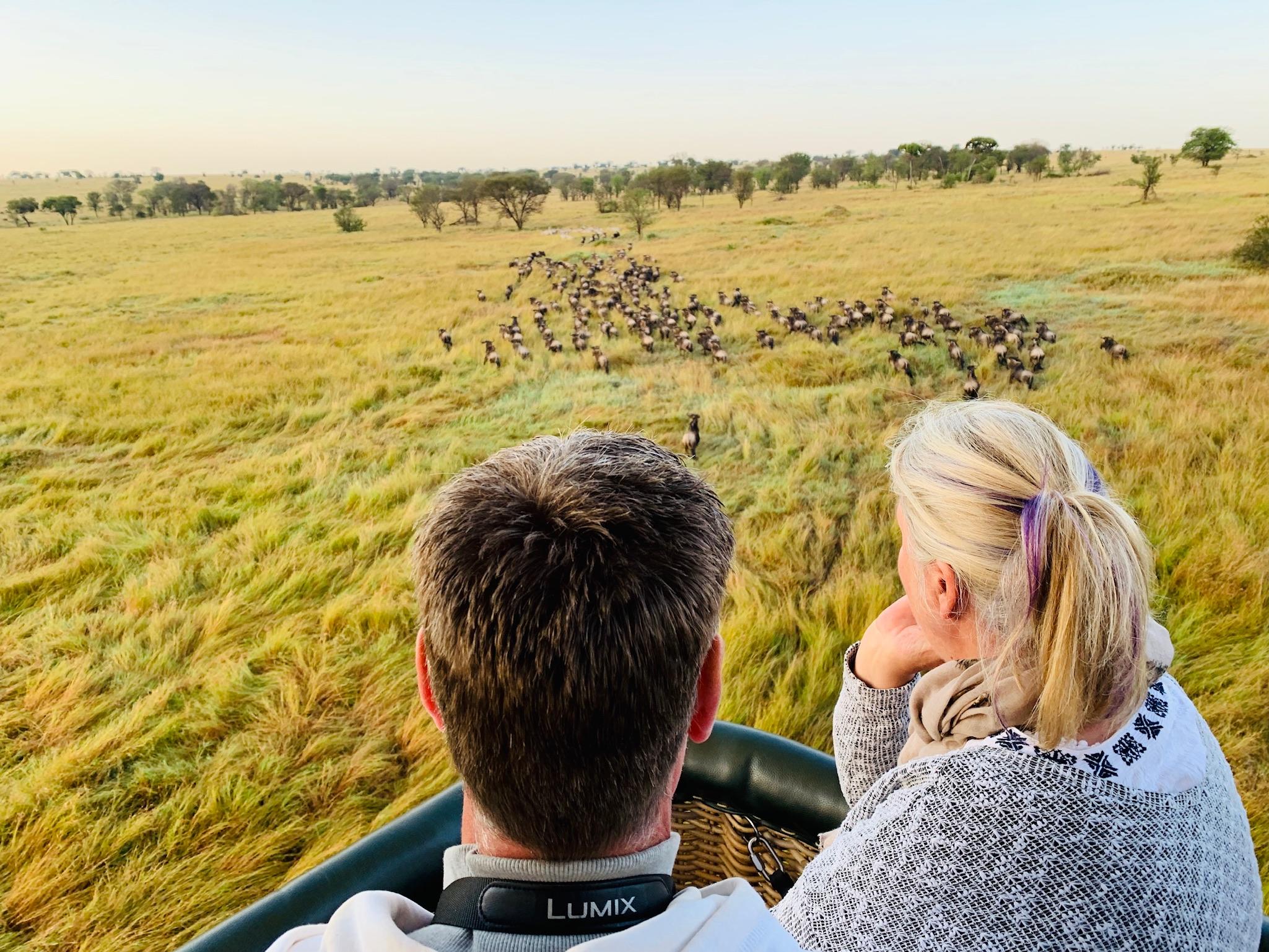 Balloon safari over the Serengeti — migration wildebeest from above