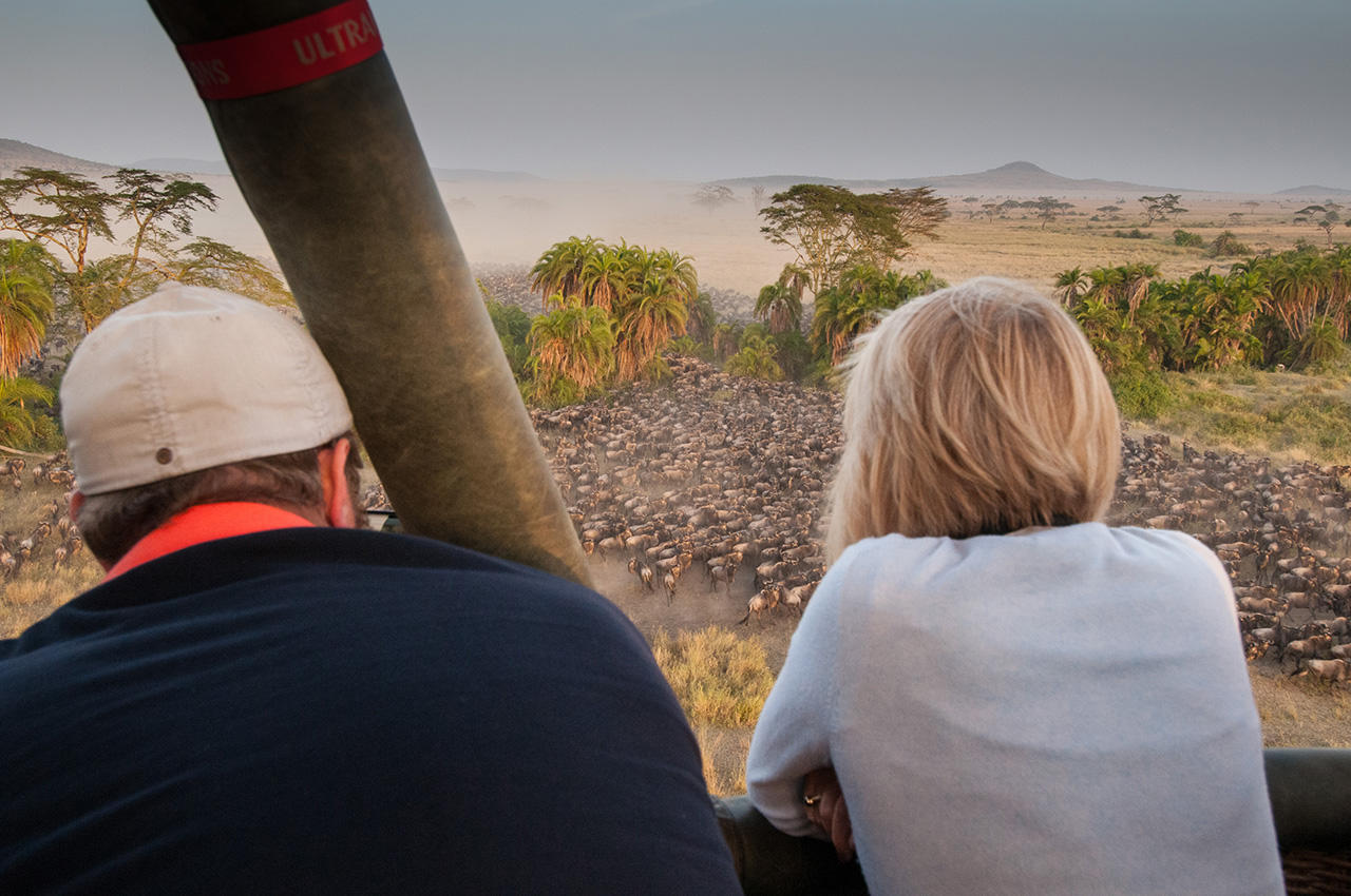 Wildebeest migration viewed from a hot air balloon over Tanzania