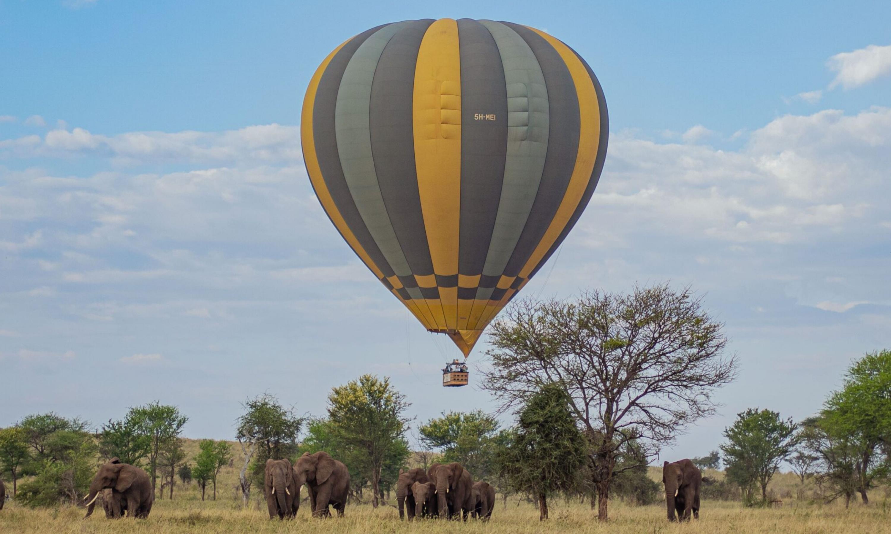 Balloon safari over Tarangire with elephants below