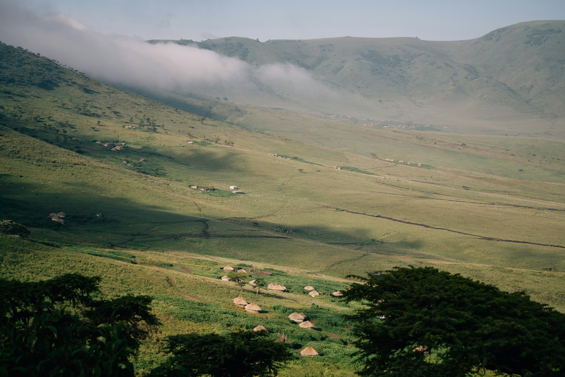 8 Days Serengeti Great Migration Senior Luxury Safari Layout