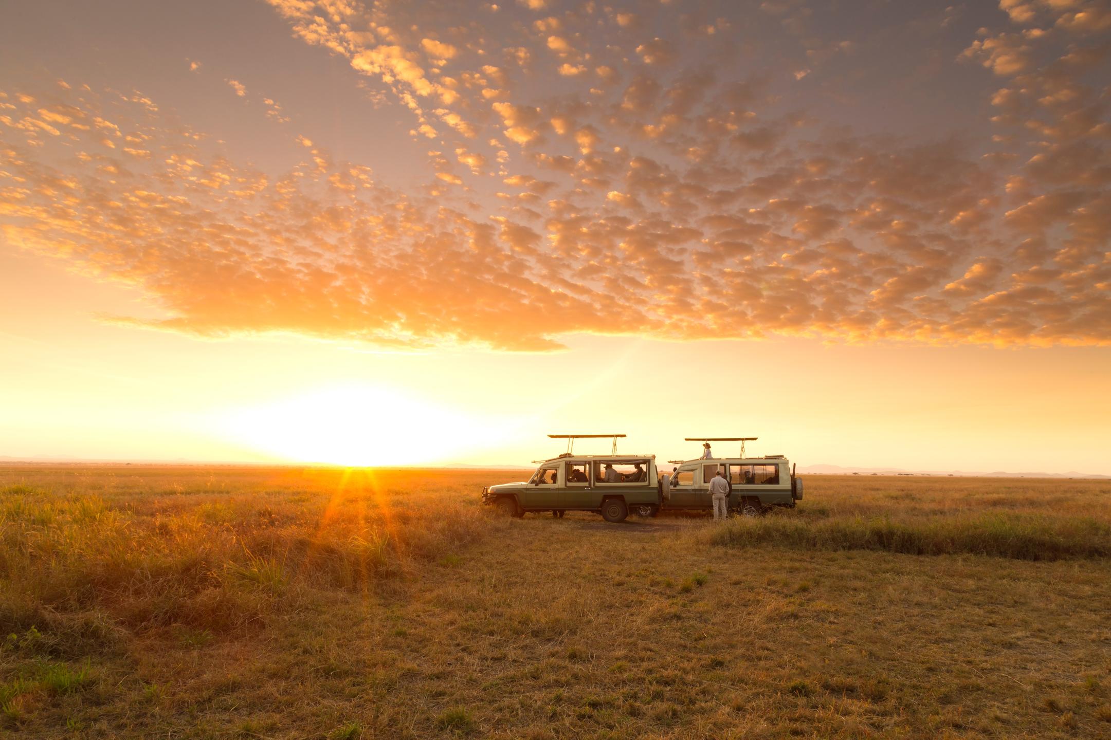 Arrival in Tanzania before a northern circuit safari