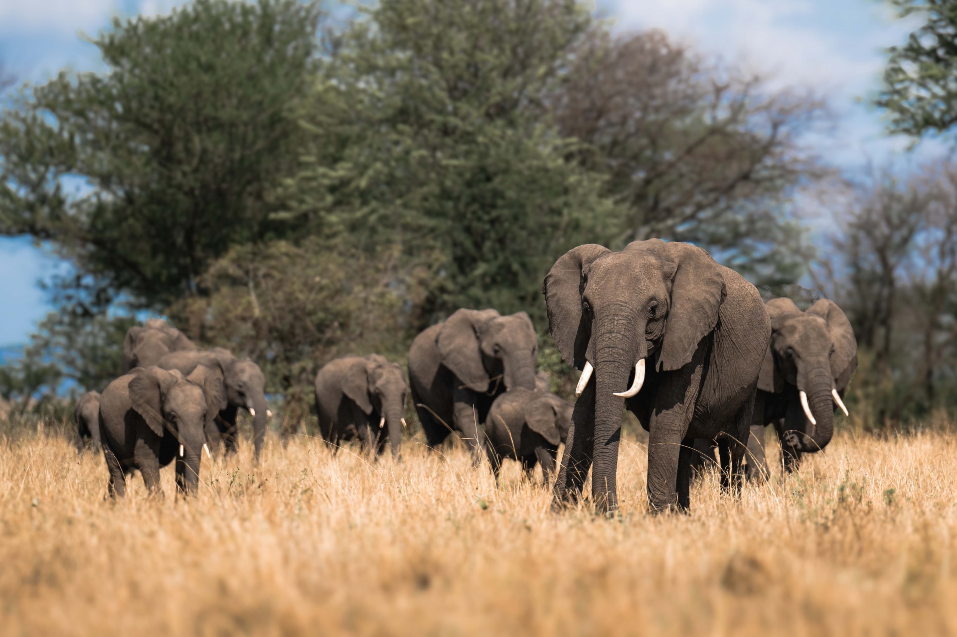2 Days Tarangire and Ngorongoro Crater
